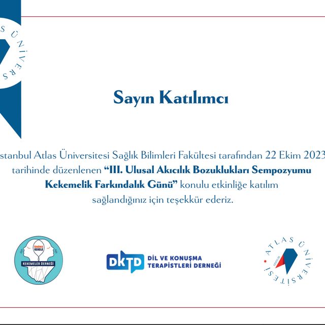 Resmi büyüt: certificate 11