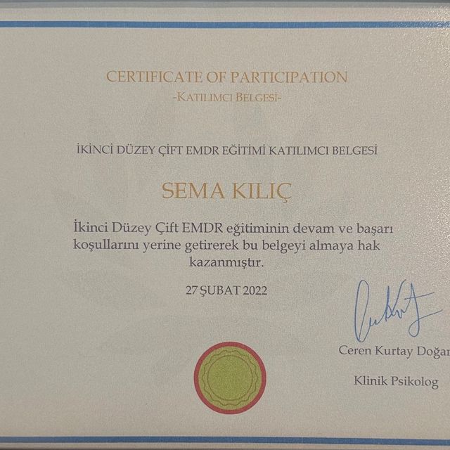 Resmi büyüt: certificate 22