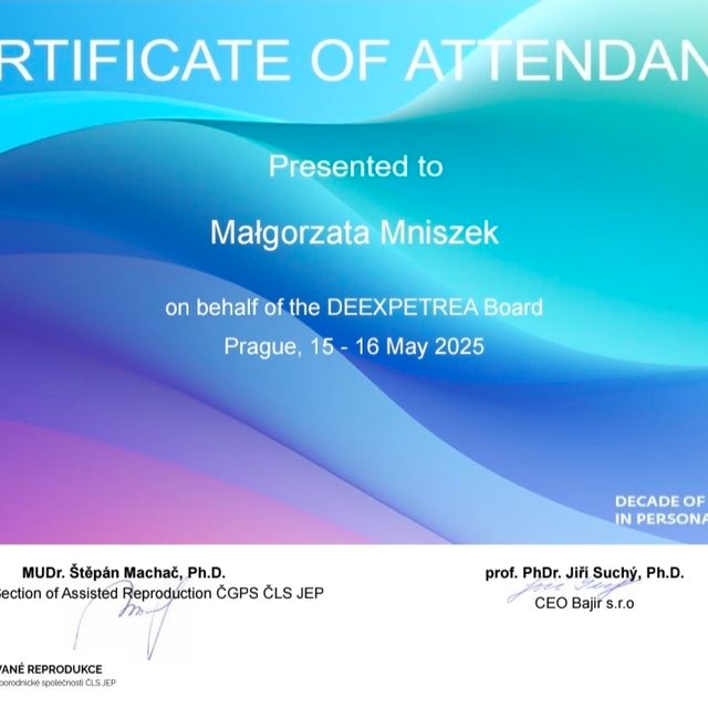 Powiększ obraz: certificate 3