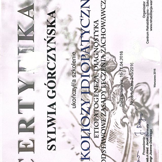 Powiększ obraz: certificate 13