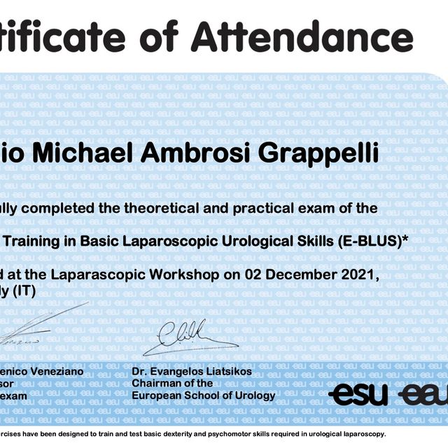 Ingrandire l'immagine: certificate 2