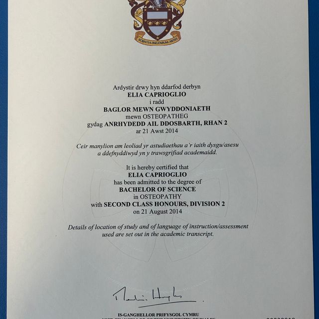 Ingrandire l'immagine: certificate 2