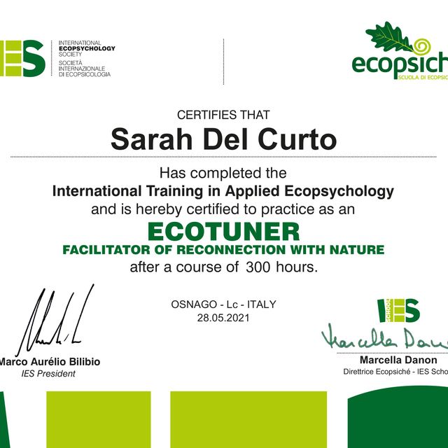 Ingrandire l'immagine: certificate 4