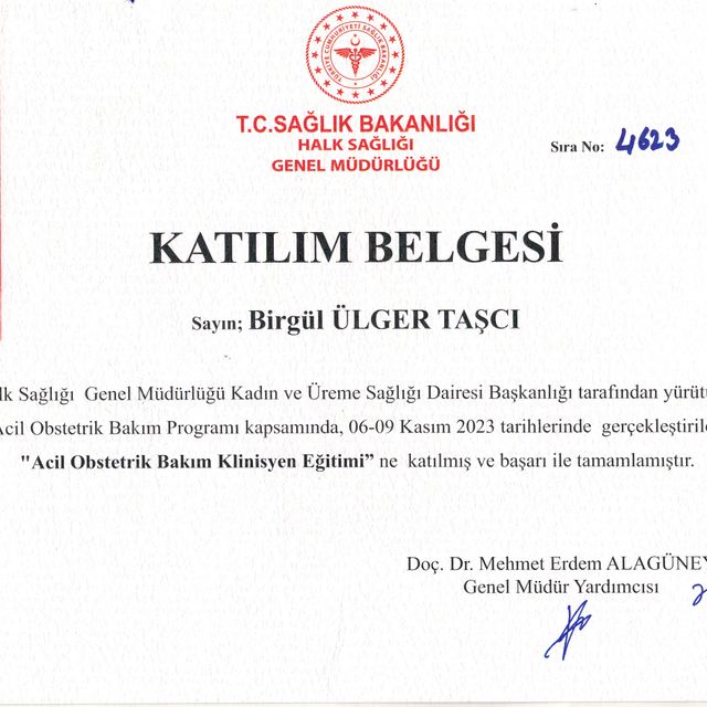 Resmi büyüt: certificate 5