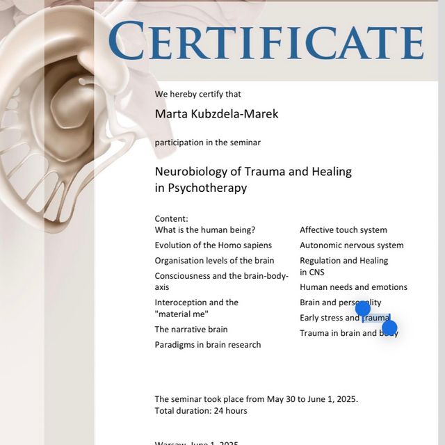 Powiększ obraz: certificate 6