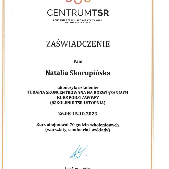 Powiększ obraz: certificate 8