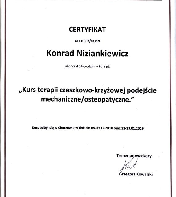 Powiększ obraz: certificate 8