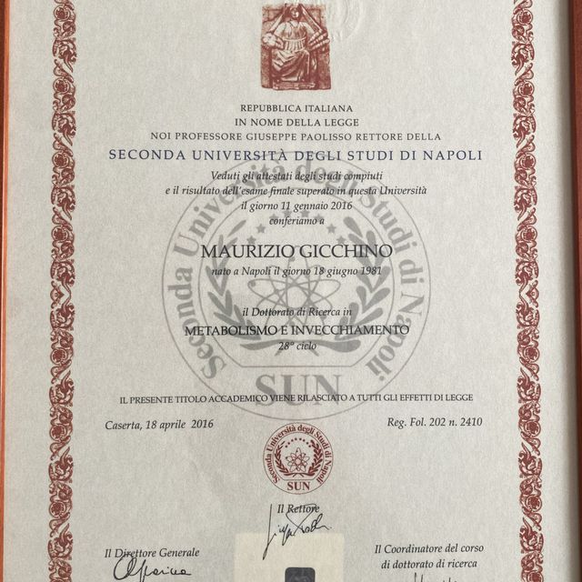 Ingrandire l'immagine: certificate 7