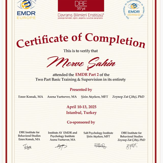 Resmi büyüt: certificate 2
