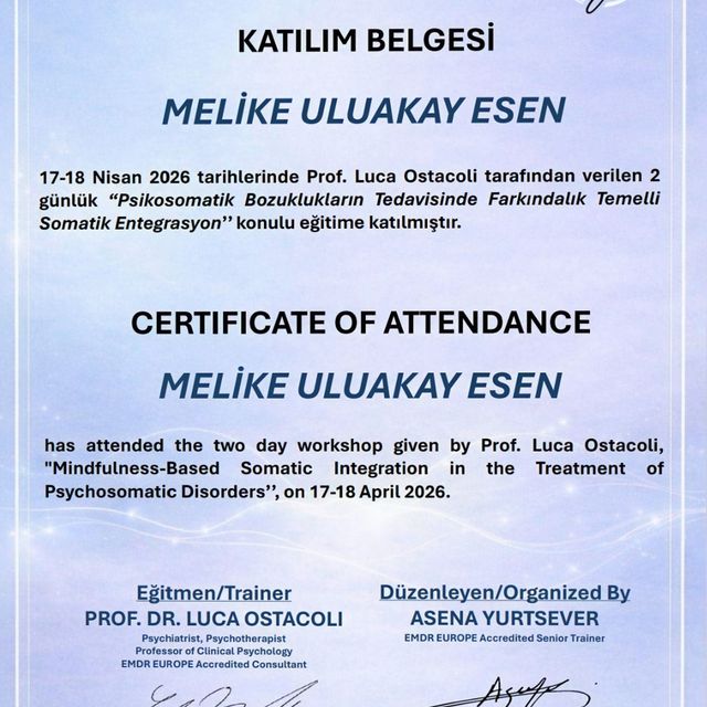 Resmi büyüt: certificate 40