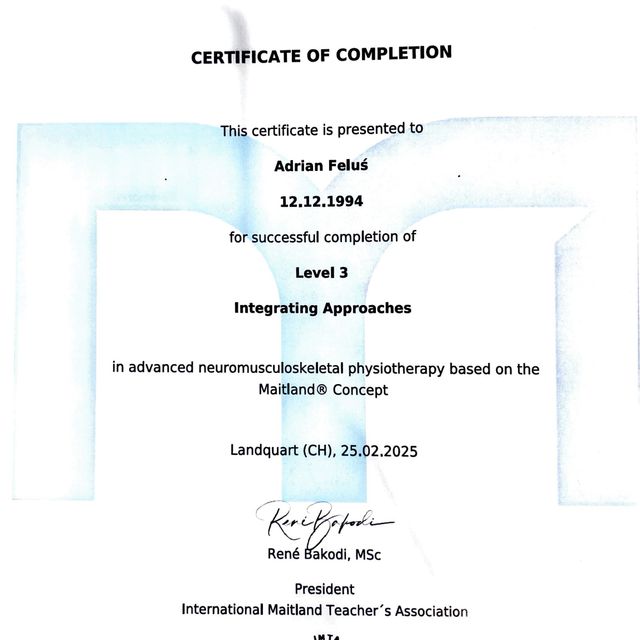 Powiększ obraz: certificate 9