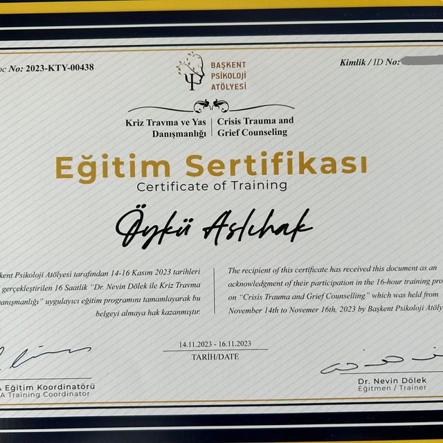 Resmi büyüt: certificate 8