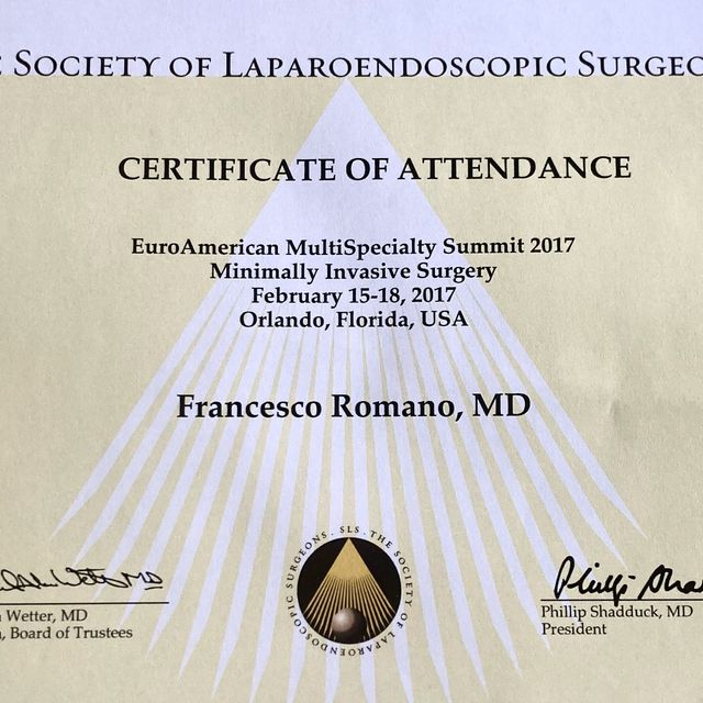 Ingrandire l'immagine: certificate 7