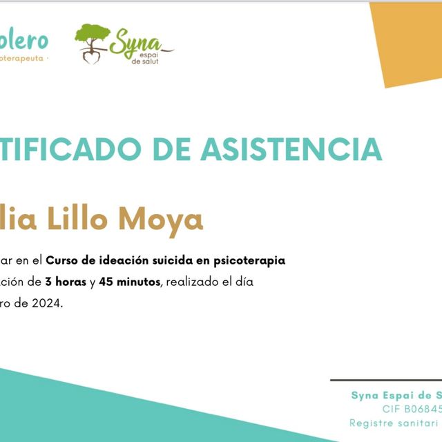 Acercar imagen: certificate 19