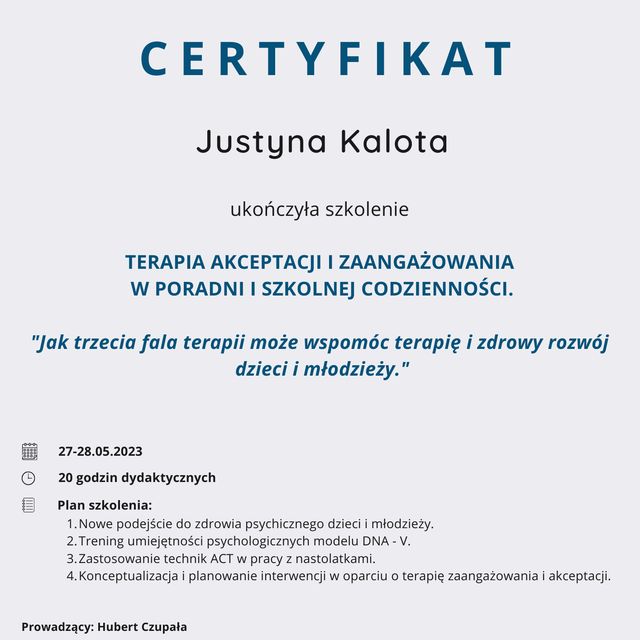 Powiększ obraz: certificate 2