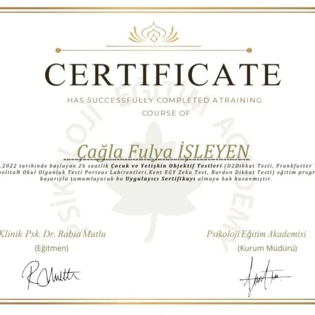 Resmi büyüt: certificate 5