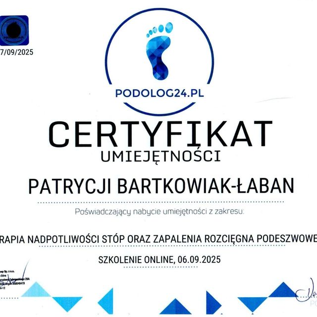 Powiększ obraz: certificate 1