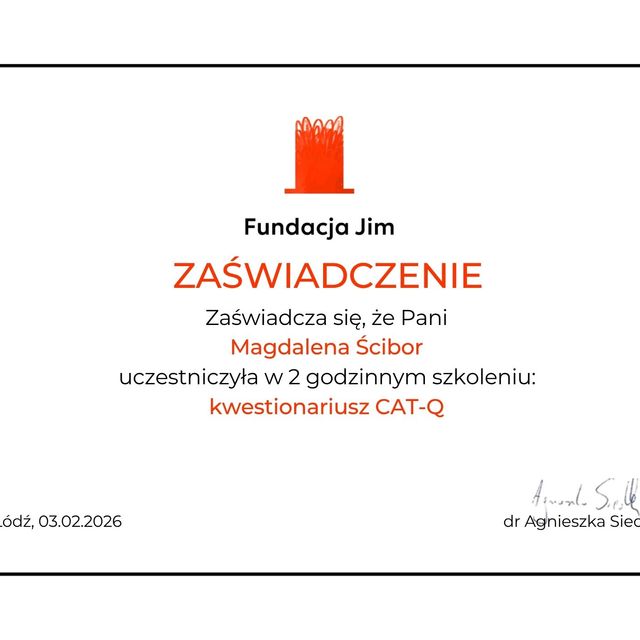 Powiększ obraz: certificate 11