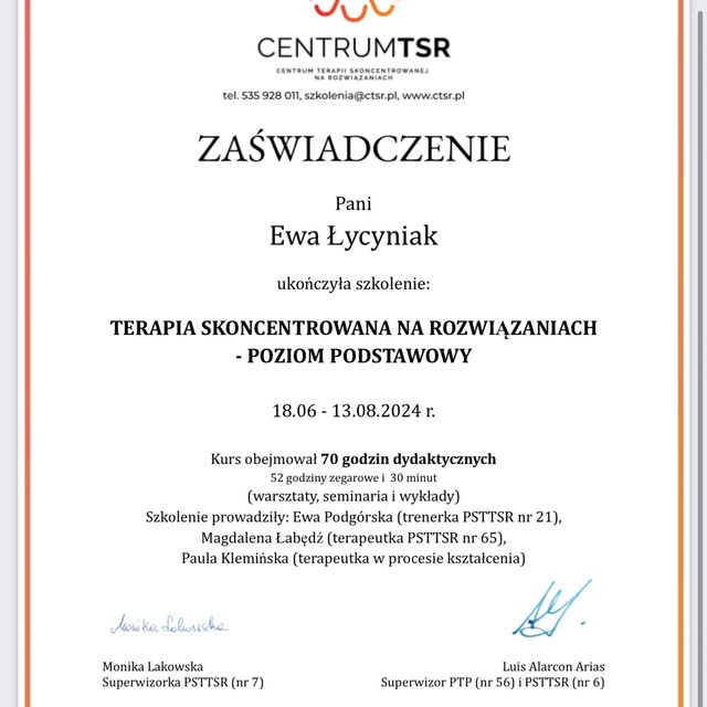 Powiększ obraz: certificate 1