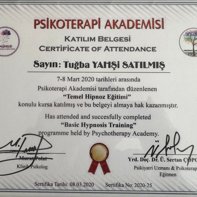 Resmi büyüt: certificate 13