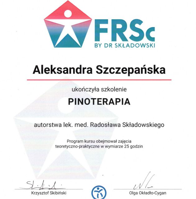 Powiększ obraz: certificate 2