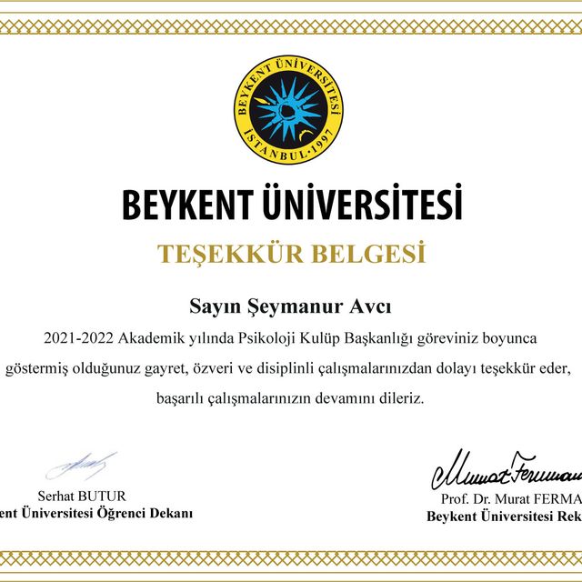 Resmi büyüt: certificate 10