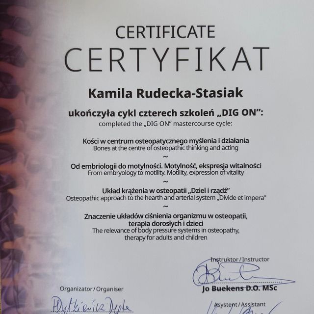 Powiększ obraz: certificate 3