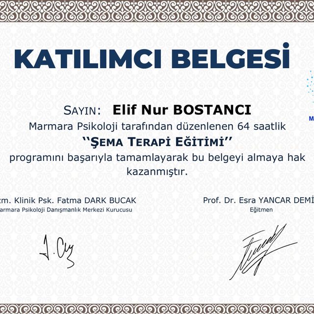Resmi büyüt: certificate 1