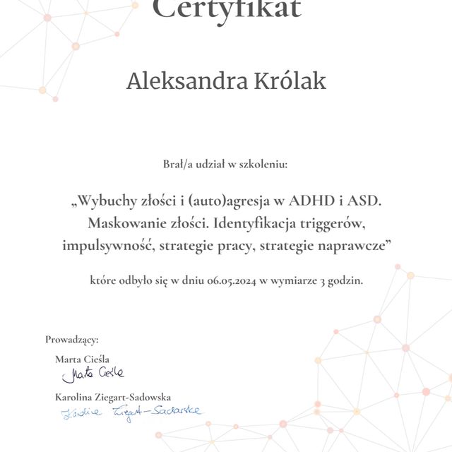 Powiększ obraz: certificate 17