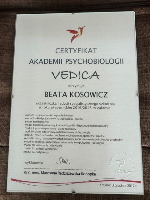 Powiększ obraz: certificate 7