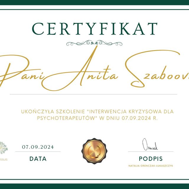 Powiększ obraz: certificate 1