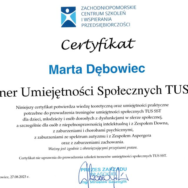 Powiększ obraz: certificate 1