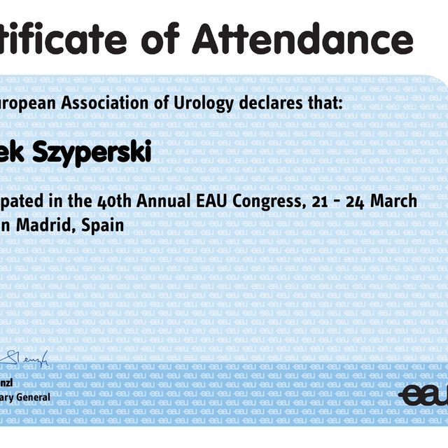 Powiększ obraz: certificate 1