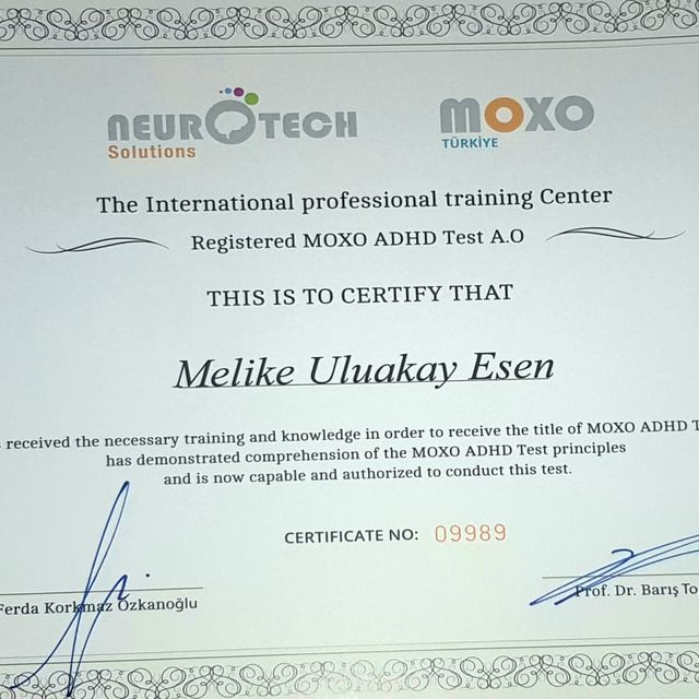 Resmi büyüt: certificate 33