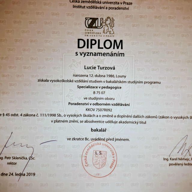 Zvětšit obrázek: certificate 14