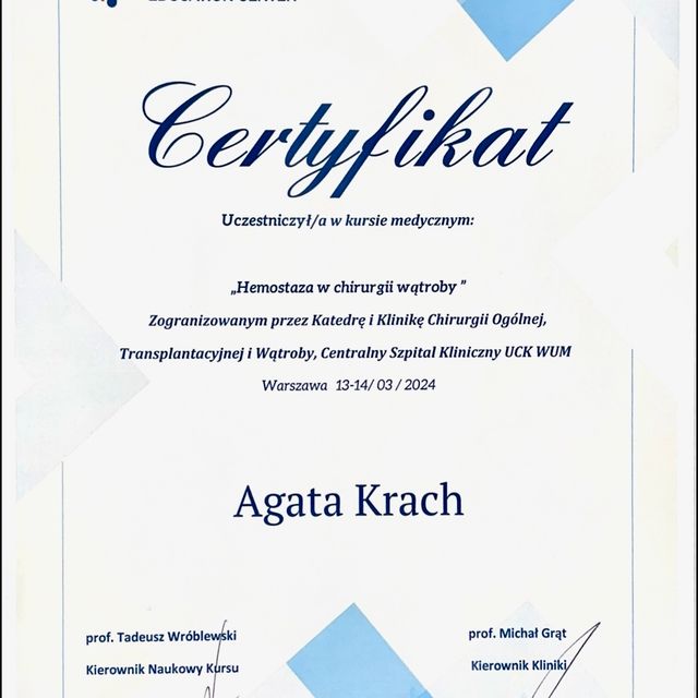 Powiększ obraz: certificate 2