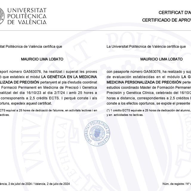 Acercar imagen: certificate 2