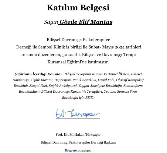 Resmi büyüt: certificate 2