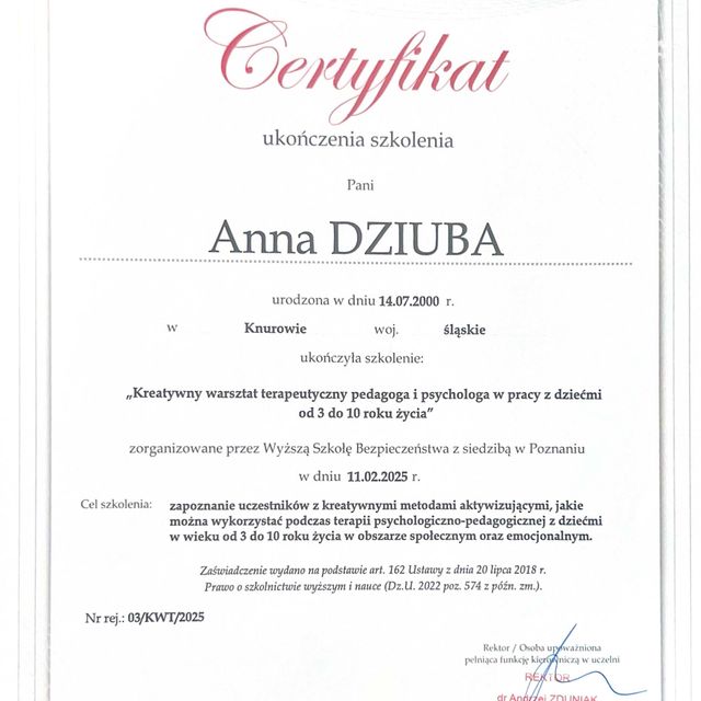 Powiększ obraz: certificate 2