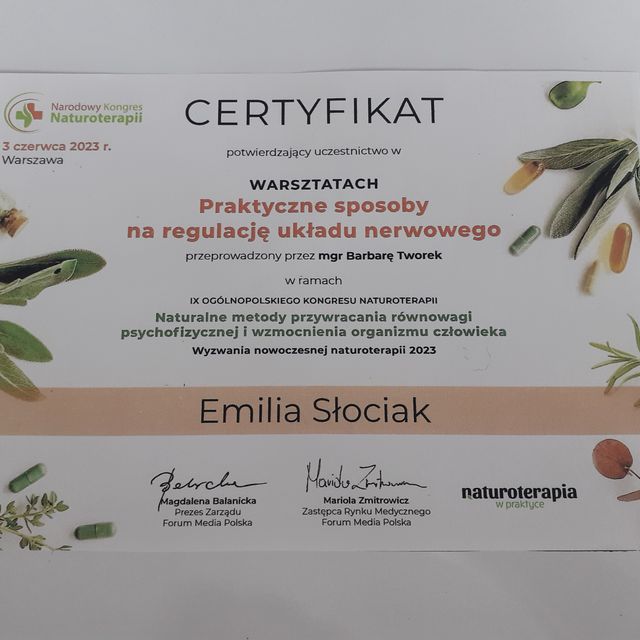 Powiększ obraz: certificate 3