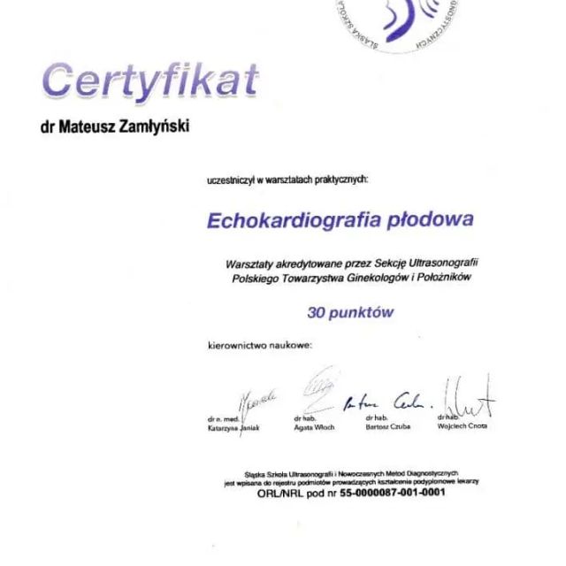 Powiększ obraz: certificate 6