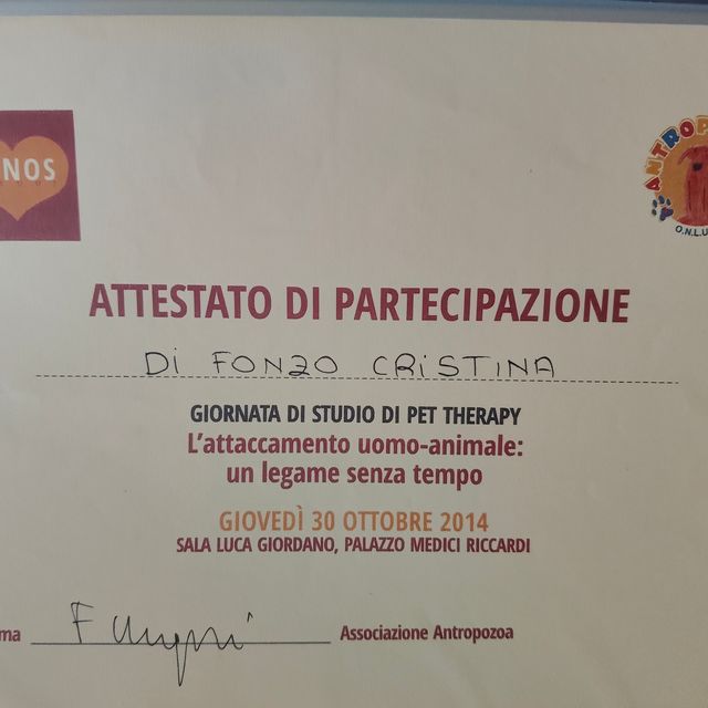 Ingrandire l'immagine: certificate 5