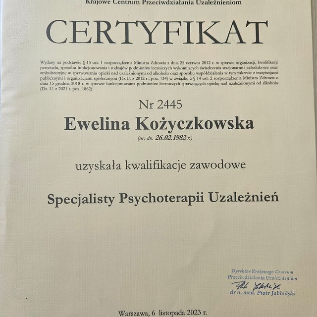 Powiększ obraz: certificate 1