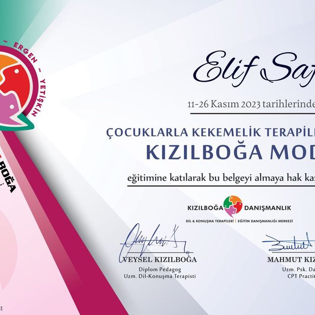 Resmi büyüt: certificate 2