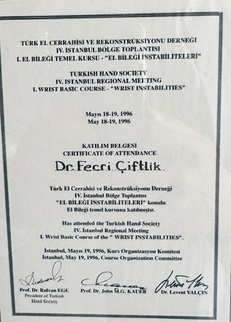 Resmi büyüt: certificate 8