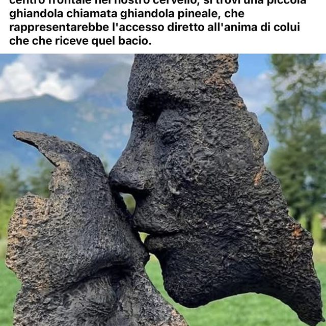 Ingrandire l'immagine: certificate 202