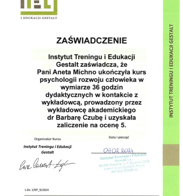 Powiększ obraz: certificate 1