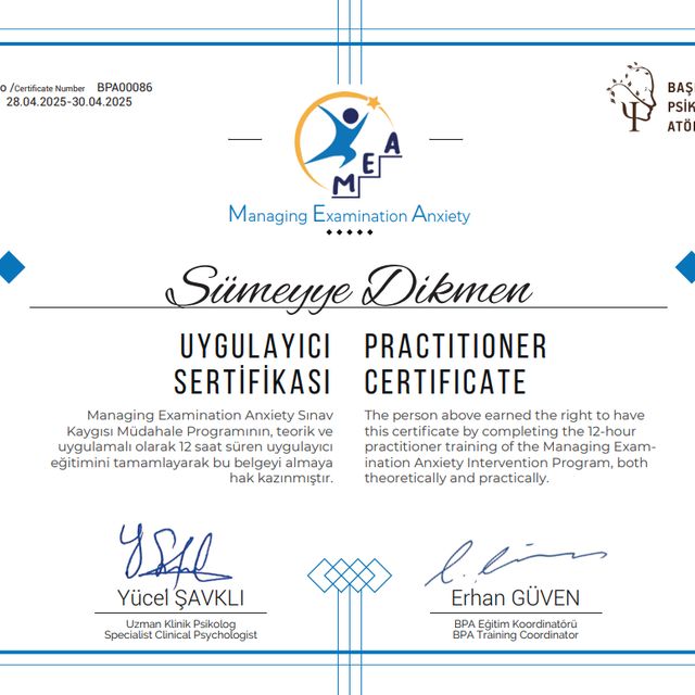 Resmi büyüt: certificate 31