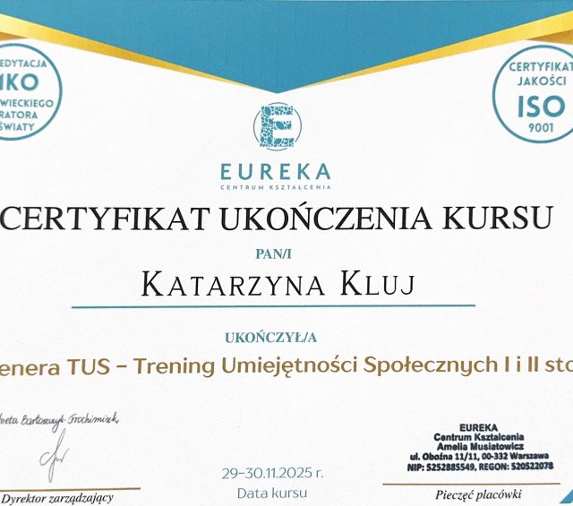 Powiększ obraz: certificate 1