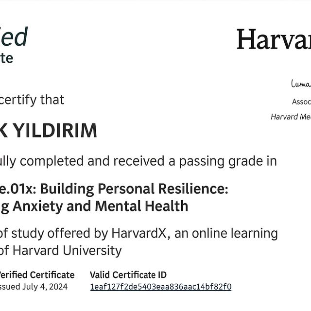 Resmi büyüt: certificate 2